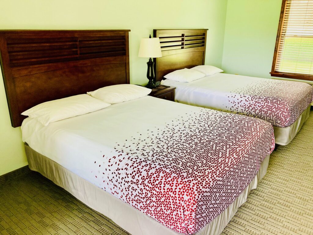 Two double beds with white and red patterned bedding, a lamp on a nightstand, and a window with blinds in a bright room.